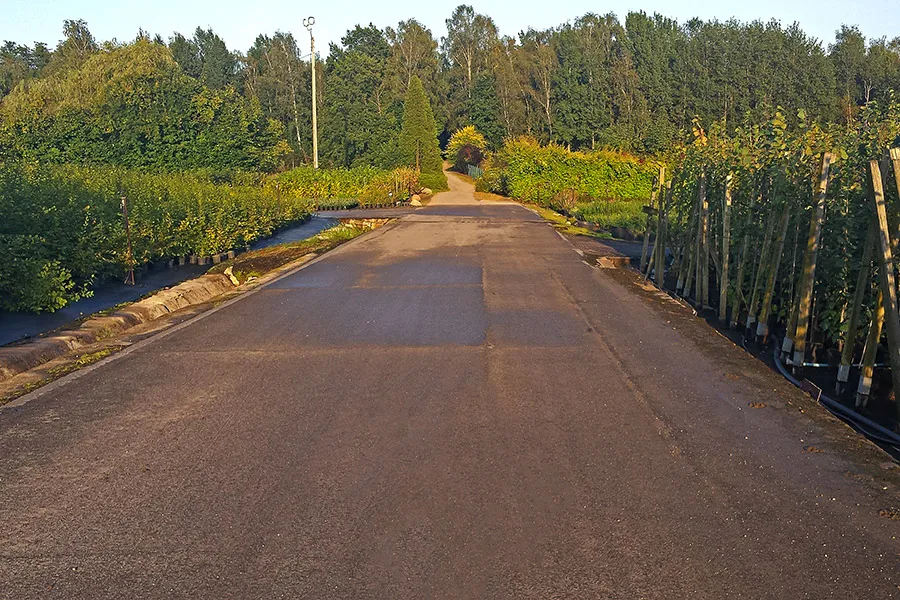 Сату алаңы